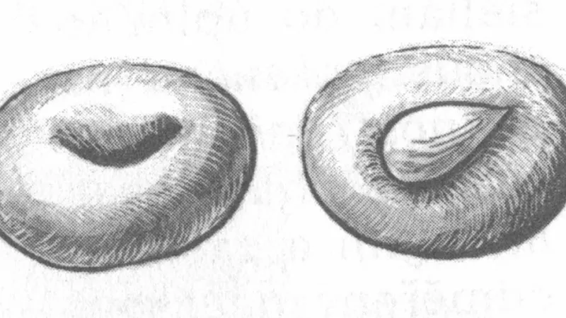 Škvarkové cukroví