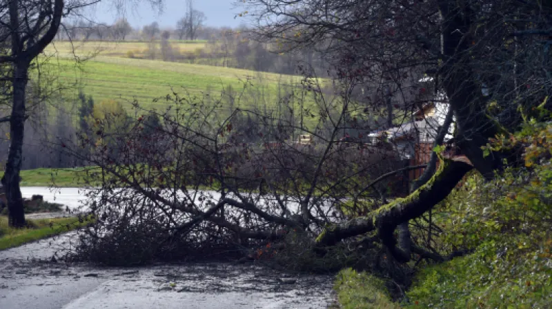 Spadlý strom přes silnici poblíž obce Krajková na Sokolovsku.,  Autor: Kubeš Slavomír,  Zdroj: ČTK