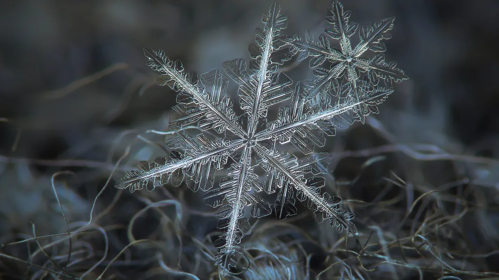 Velká galerie sněhových vloček