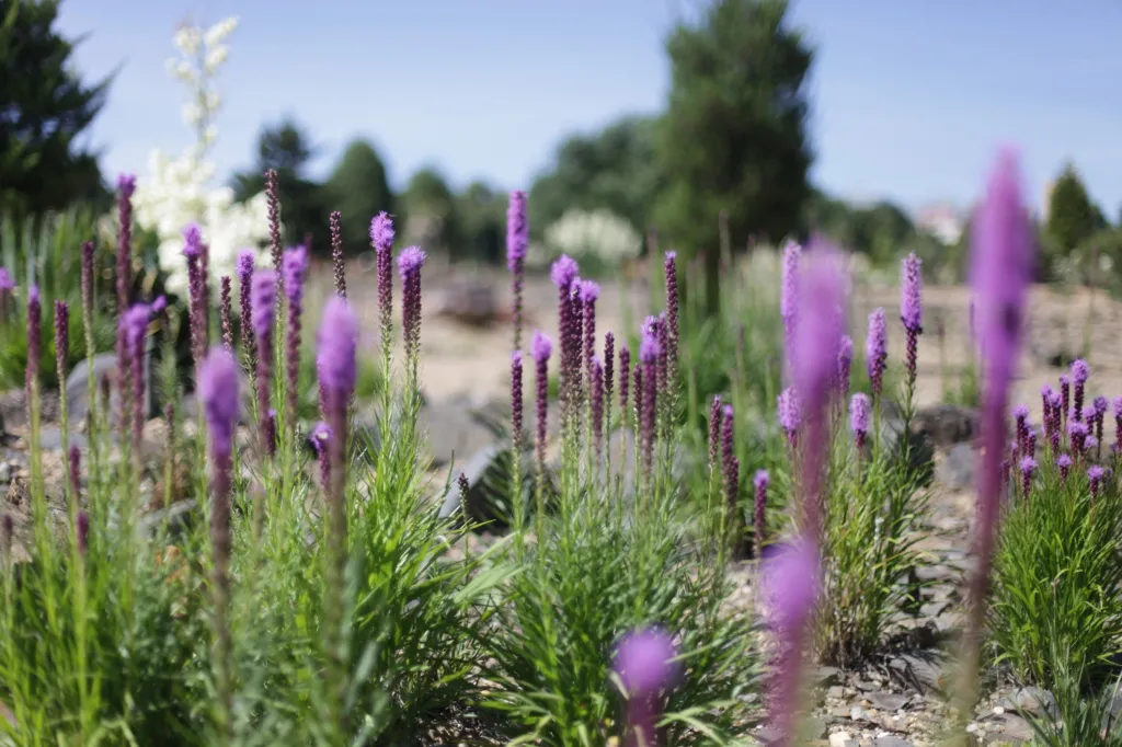 Botanická zahrada hl. m. Prahy slaví 50 let