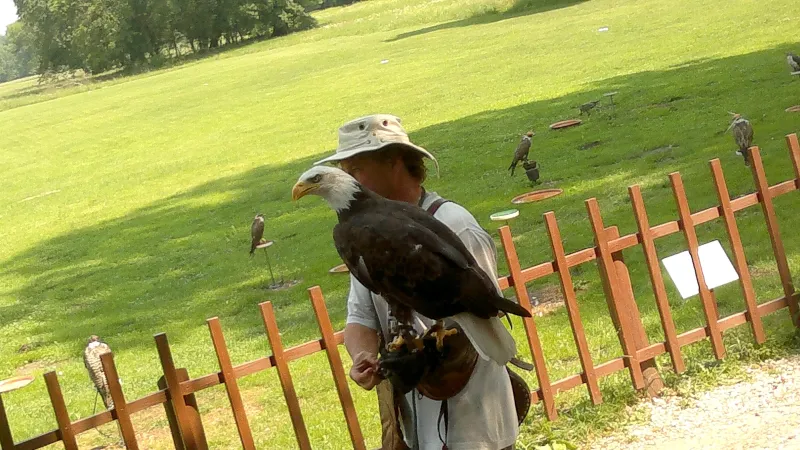 V lednickém parku potkáte i orla