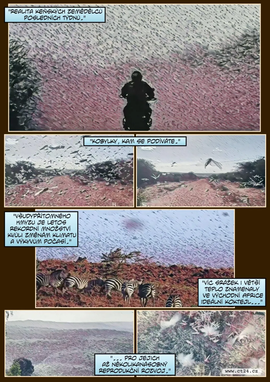 Farmáři v Keni bojují s invazí sarančat