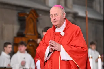 Protestující na Hradčanském náměstí v Praze žádali odstoupení Graubnera