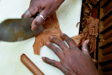 Kubánští vězni vyrábí doutníky v podmínkách „moderního otroctví,“ tvrdí zpráva