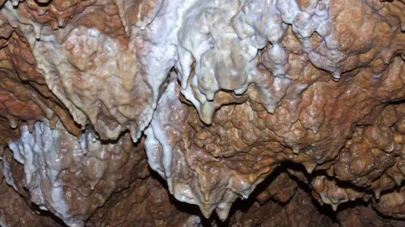 Koněpruské jeskyně