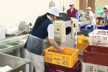 Daň z příjmu a pojištění z prázdninových brigád