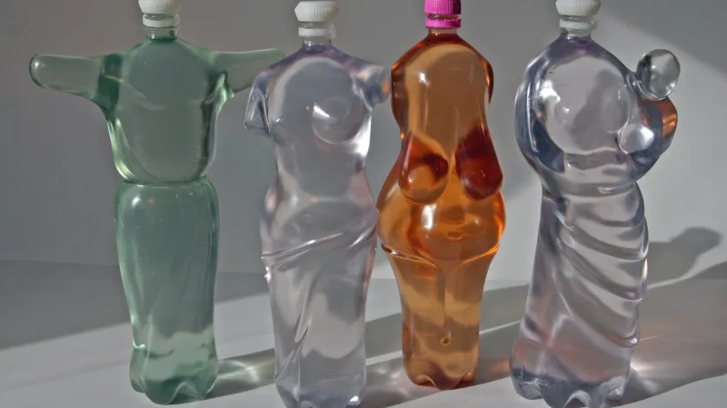 Marek Rejent / PET projekt