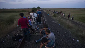 Migrační vlna v Maďarsku