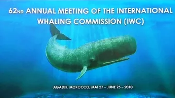 Jednání Mezinárodní velrybářské komise (IWC)