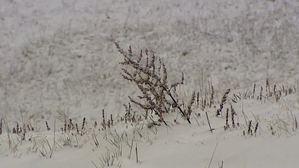 Některá místa Krušných hor pokryl sníh