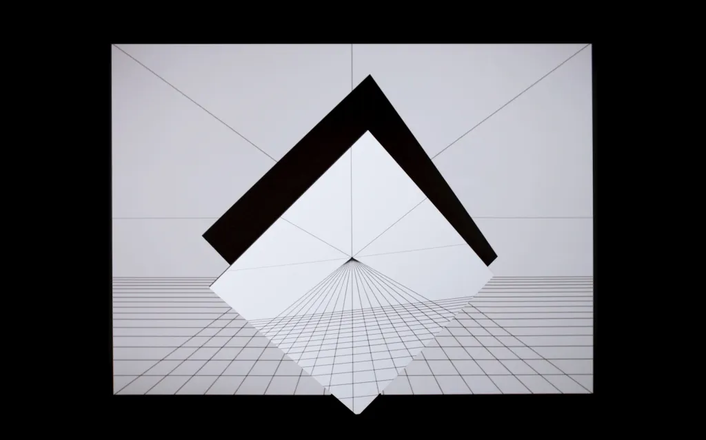 Daniel Hanzlík, Default Setting, 2021,  video performance