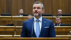 Prezident Peter Pellegrini