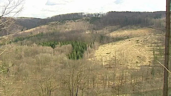 Obora Jelenice