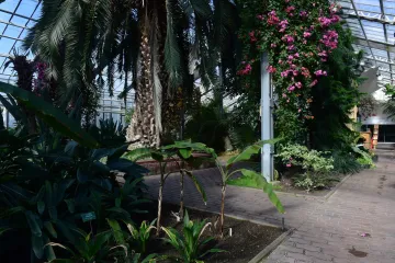 Olomouc koupí od Výstaviště Flora skleníky