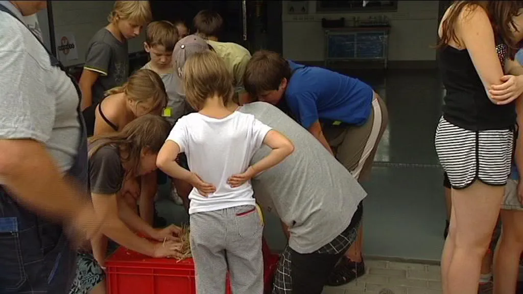 Technický tábor VŠB