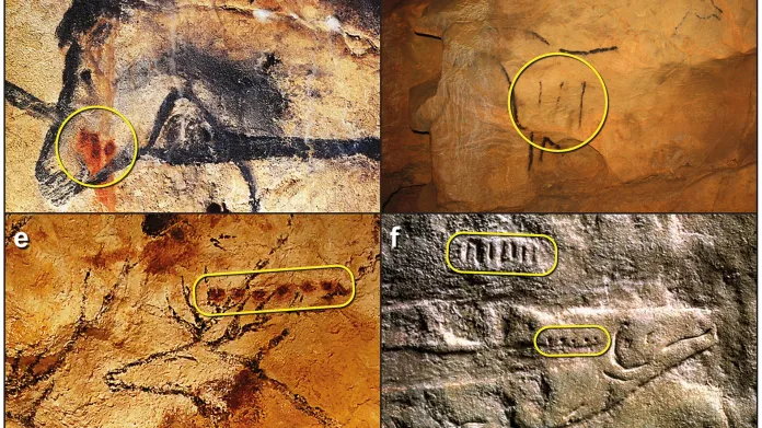 Obrazy jeskynních zvířat se symboly