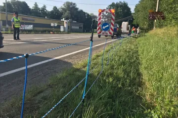 Na Zlínsku začali kvůli africkému moru prasat stavět ohradníky. Území monitoruje vrtulník