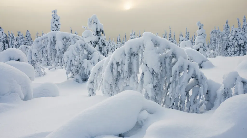 Zima v Laponsku