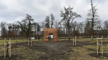 V zámeckém parku v Holešově na Kroměřížsku skončila obnova historického ovocného sadu. Součástí veřejně přístupného sadu je i nový dřevěný altán