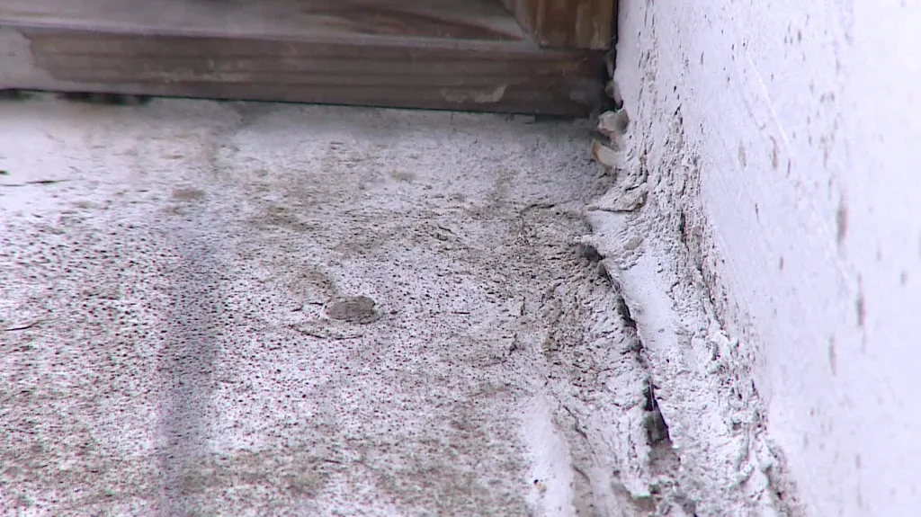 Plíseň ve škole v Horních Heršpicích