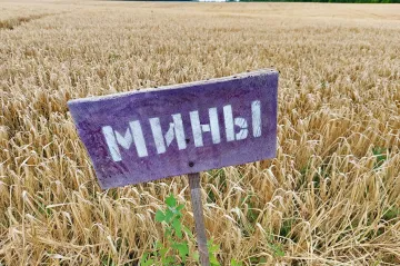 Výbušniny zamořily Ukrajinu. Miny leží v Černém moři i na půdě o čtyřnásobné rozloze Česka