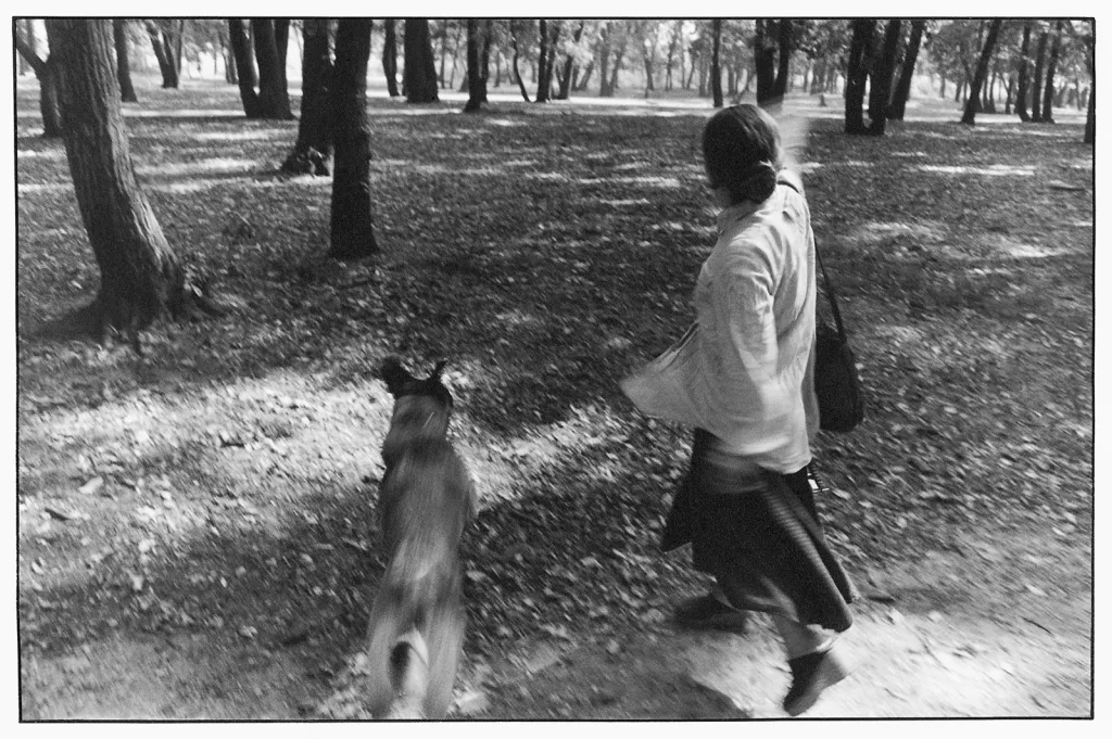 Pařížské fragmenty, 1979