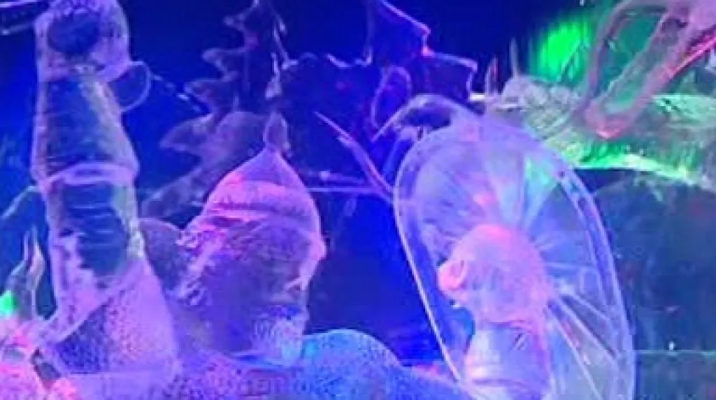 Postava z ruských bylin