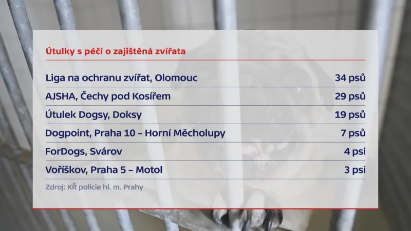 Útulky s péčí o zajištěná zvířata