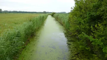 Zelená a bažinatá Normandie
