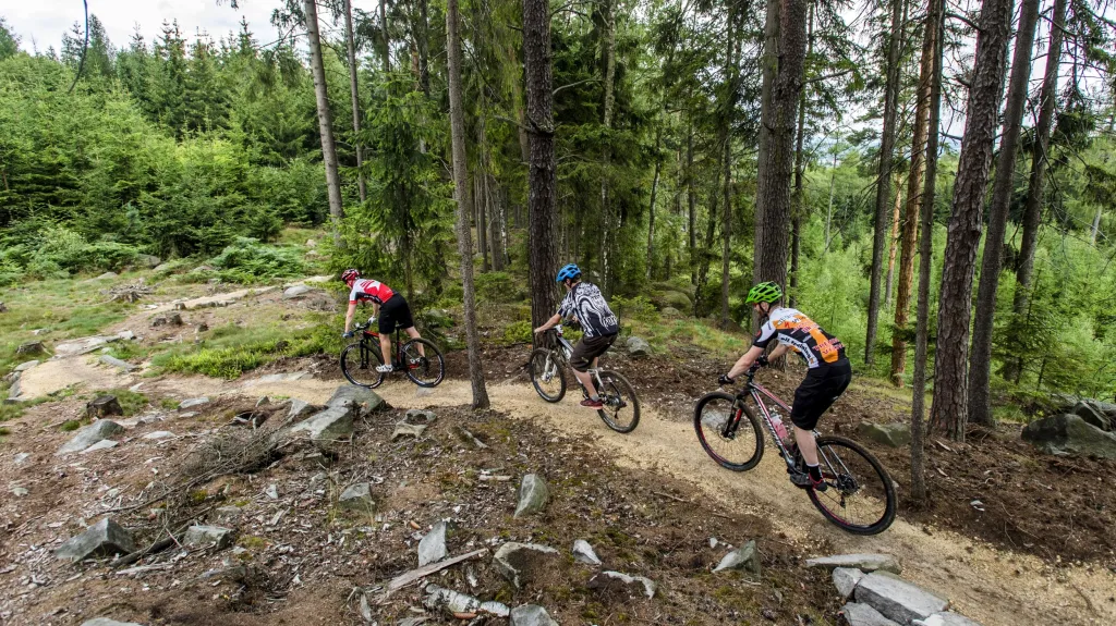 Ilustrační snímek