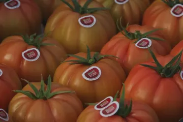 Brexit s obavami sledují i v největším skleníku Evropy. Třetinu zboží odtud posílají do Británie