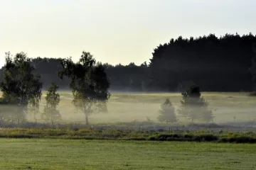 V noci na pátek mohou být přízemní mrazíky