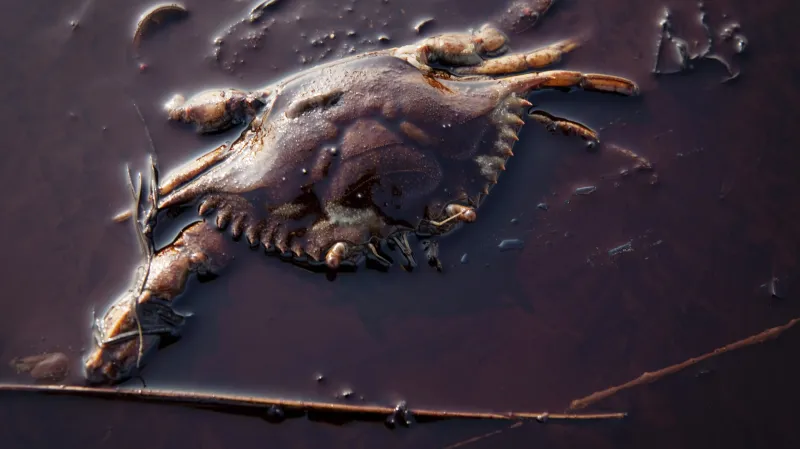 Tragédie Deepwater Horizon