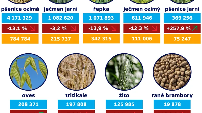 Odhady sklizní – červen 2021