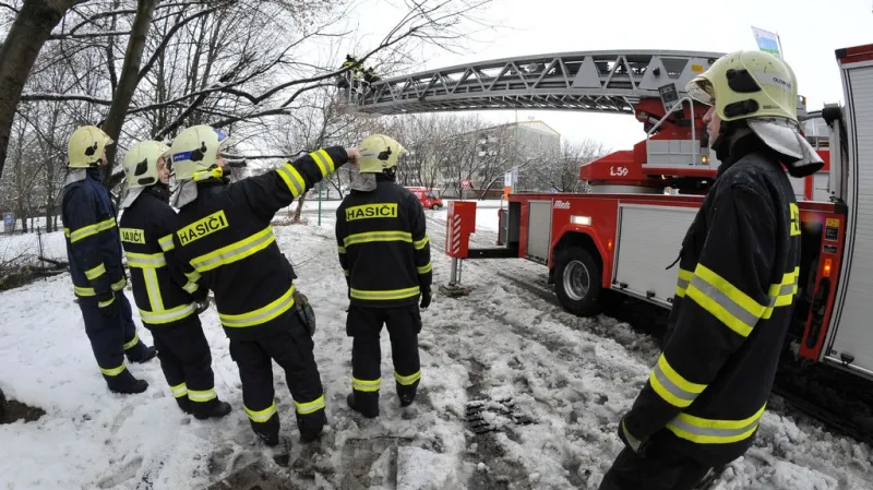 Stromy nevydržely nánosy sněhu