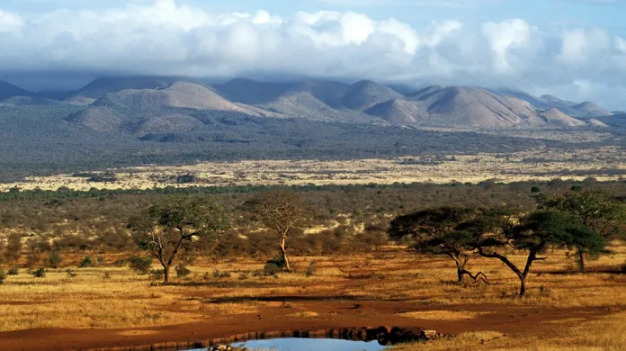 Rezervace Masai Mara v Keni