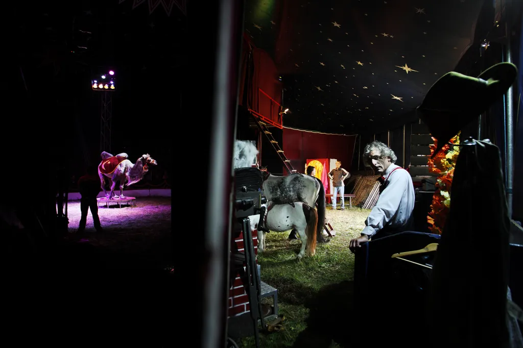 Cirkus Humberto je evropská legenda, kterou udržuje rodina Navrátilových.