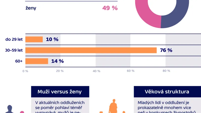 Oddlužení (114 tisíc k 1. 1. 2019)