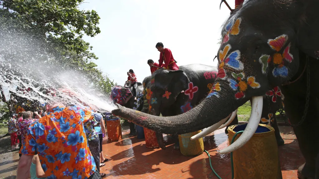Sloní turistika v Thajsku