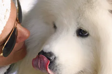 Mazlení se psím kamarádem povzbuzuje vystresované studenty k lepším výsledkům, tvrdí vědci