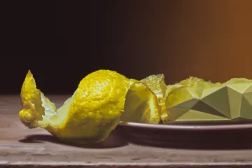 Hynek Martinec nahlíží na současný svět přes cyberlemon