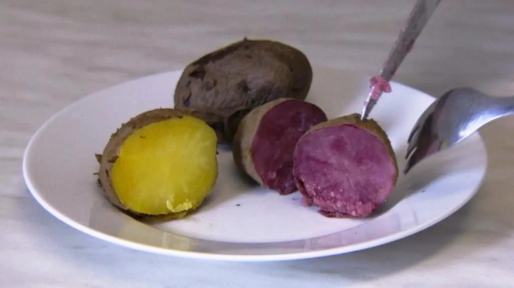 Vzorky brambor