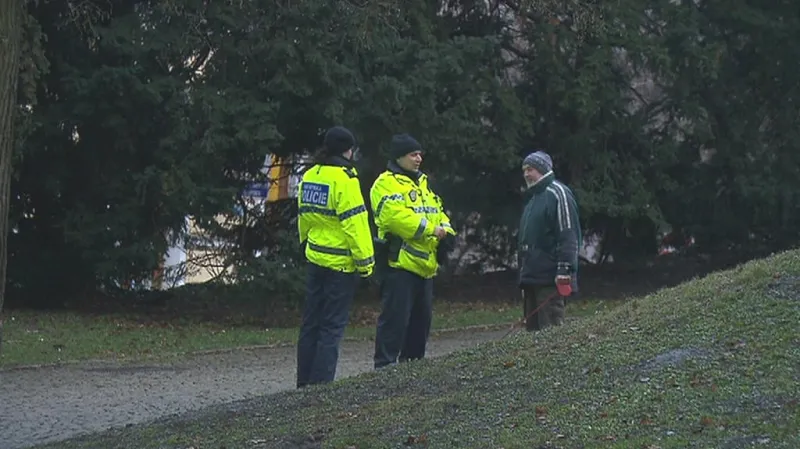 Strážníci městské policie