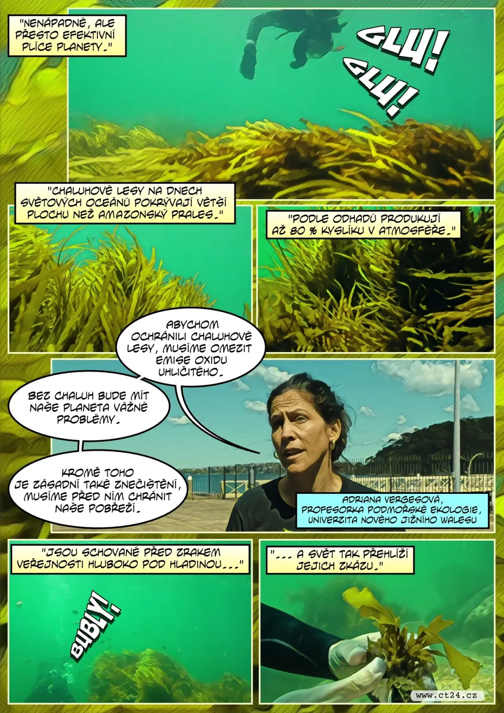 Boj s úhynem chaluh