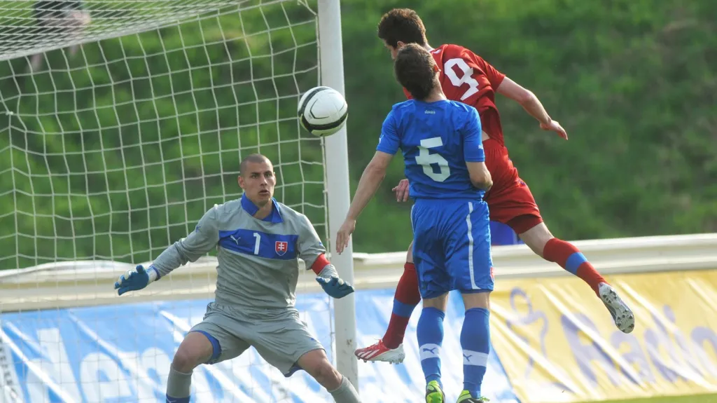 ČR "21" - Slovensko "21"