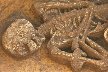 Archeologové objevili v Ostrožské Lhotě kostry staré přibližně sedm tisíc let