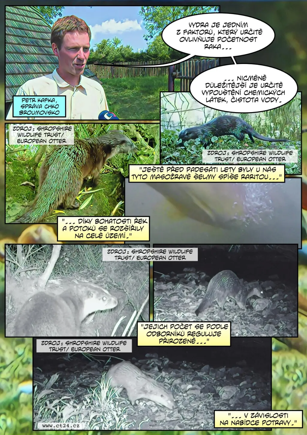 Návrat raka do přírody je ohrožen