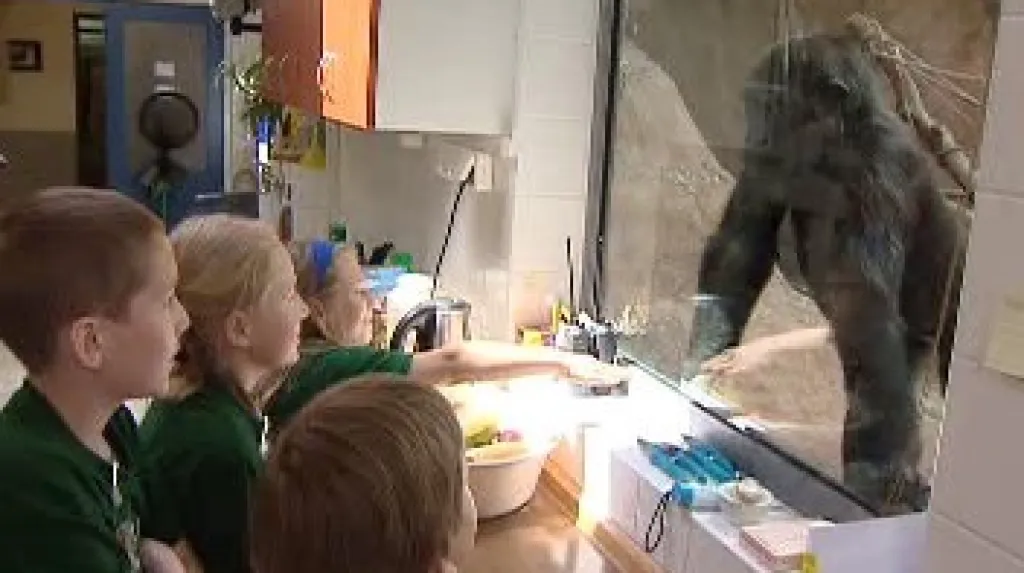 Děti v zoo