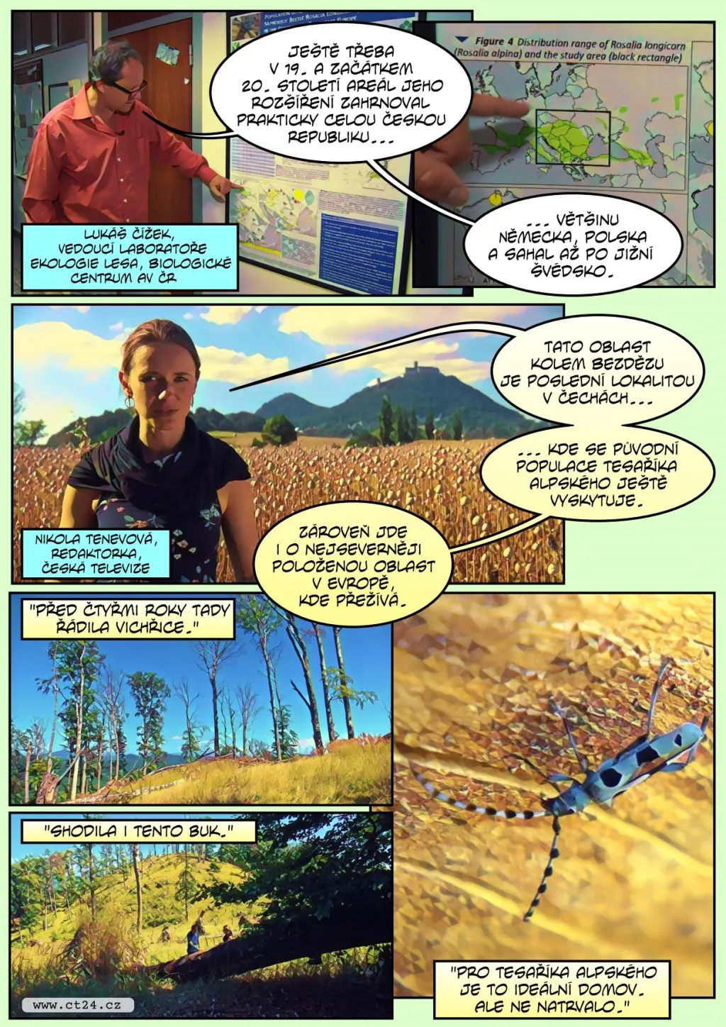 Vědci se snaží zachránit tesaříka