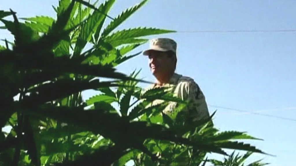 Mexická armáda objevila největší plantáž s marihuanou v zemi